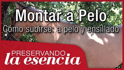 Montar a Pelo, cómo subirse: a pelo y ensillado