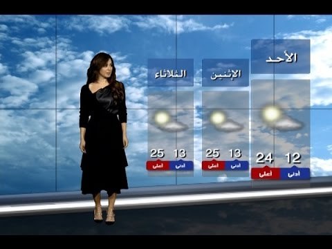 نشرة الطقس الصباحية 28-02-2016 مع دارين شاهين
