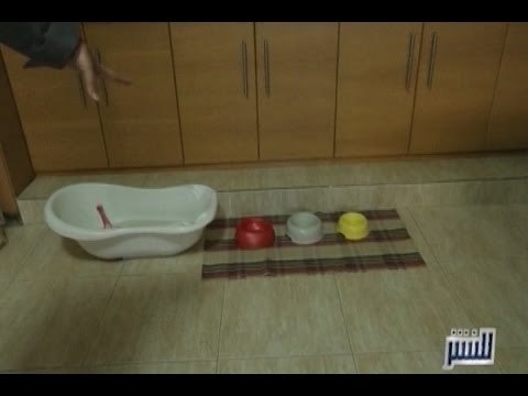 للنشر: 5000 دولار لمن يجد هرّة الرئيس