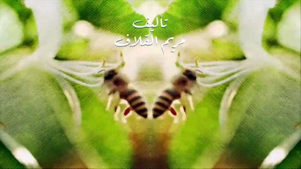 مسلسل نبض مؤقت الحلقة 16 السادسة عش