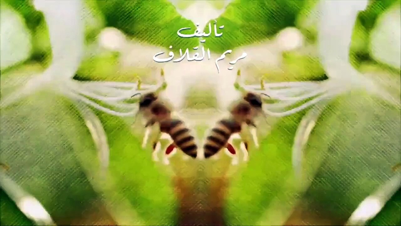 مسلسل نبض مؤقت الحلقة 16 السادسة عش