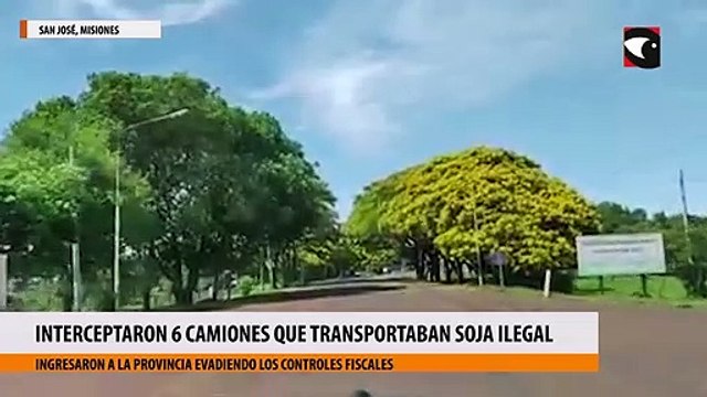 Interceptaron otros seis camiones que transportaban más de 200 toneladas de soja ilegal en Misiones