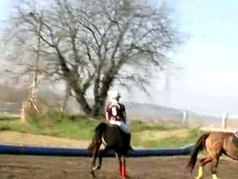 Match Horse Ball Roumois