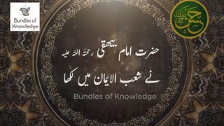 Syedina Hasan Al Mujtaba R.A And Quran |سیدنا امام حسن مجتبیٰ رَضِیَ اللہُ تَعَالٰی عَنْہ | Love With Quran | Bundles Of Knowledge