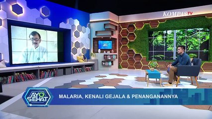 Video herunterladen: Malaria, Kenali Gejala & Penanganannya -  AYO SEHAT