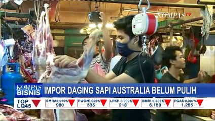 Harga Daging Bergejolak Jelang Lebaran, Impor Daging Sapi Australia Belum Pulih