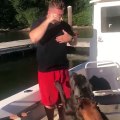 Sahibini tekneden düşüren köpek
