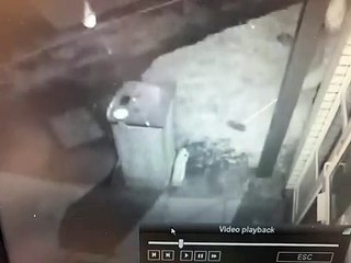 CCTV shows thief using broom to steal milk from school in Milton Keynes