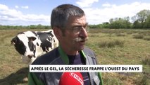 Après le gel, la sécheresse frappe l'ouest du pays