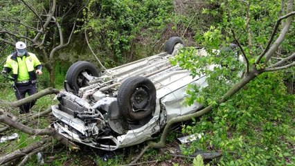 Samsun'da şarampole yuvarlanan araçtaki aileyi ölümden incir ağacı kurtardı