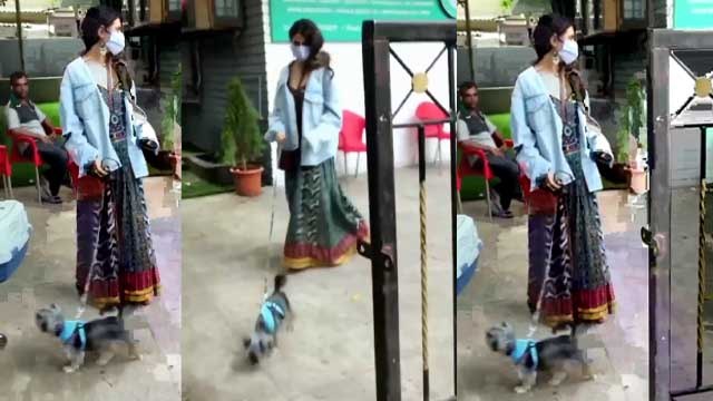 Fatima Sana Shaikh अपने Puppy को लेकर पहुंची Clinic; Watch Video | FilmiBeat