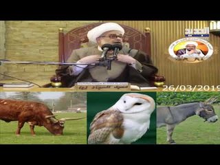 طوني خليفة حلقة 01-04-2019 - Promo