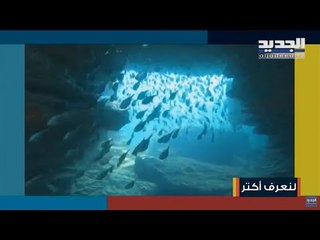 #لنعرف_أكتر عن مميزات شاطئ صور ذي المعايير العالمية مع مدير المركز اللبناني للغوص يوسف جندي