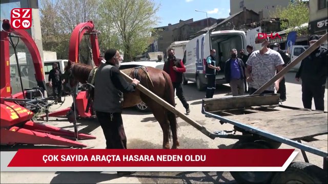 Trafikte dört nala koşan at, çok sayıda araçta hasara neden oldu