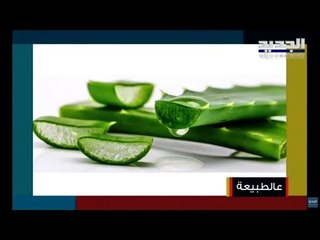 فوائد الالوفيرا للبشرة و الشعر و حروق الجلد .. كيف نزرعها في المنزل وما الانواع المفيدة وأيها السام؟