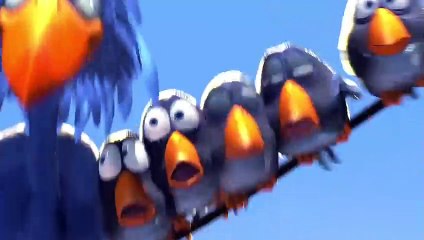 Funny Birds   Animated Short Film