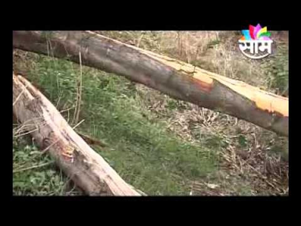 Nashik Forest 2707