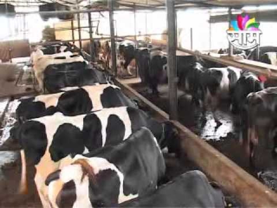 E_sakal_agro_klpr 0709