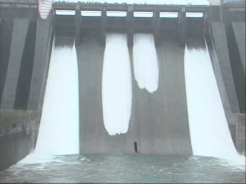 कोयना धरणातून पाणी सोडले