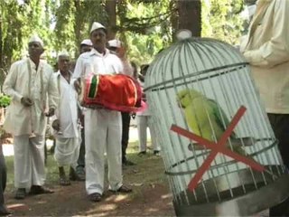 Save Birds Campaign in Sangli