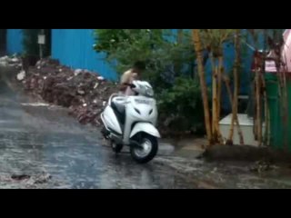 रिमझिम पावसाने झाली रविवारची सुरवात