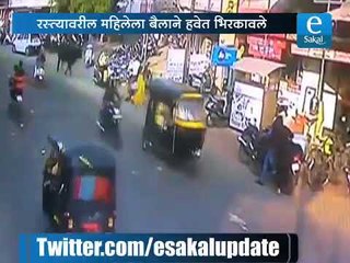 बैलाने महिलेला हवेत भिरकावले | Bull hit the Women on Road