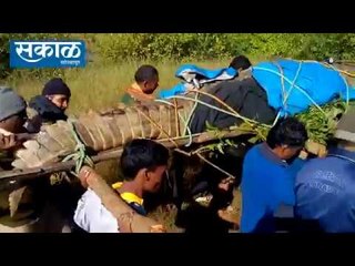 #JaganeLive: मगरमिठीतील कृष्णाकाठ | Crocodile in Krishna River