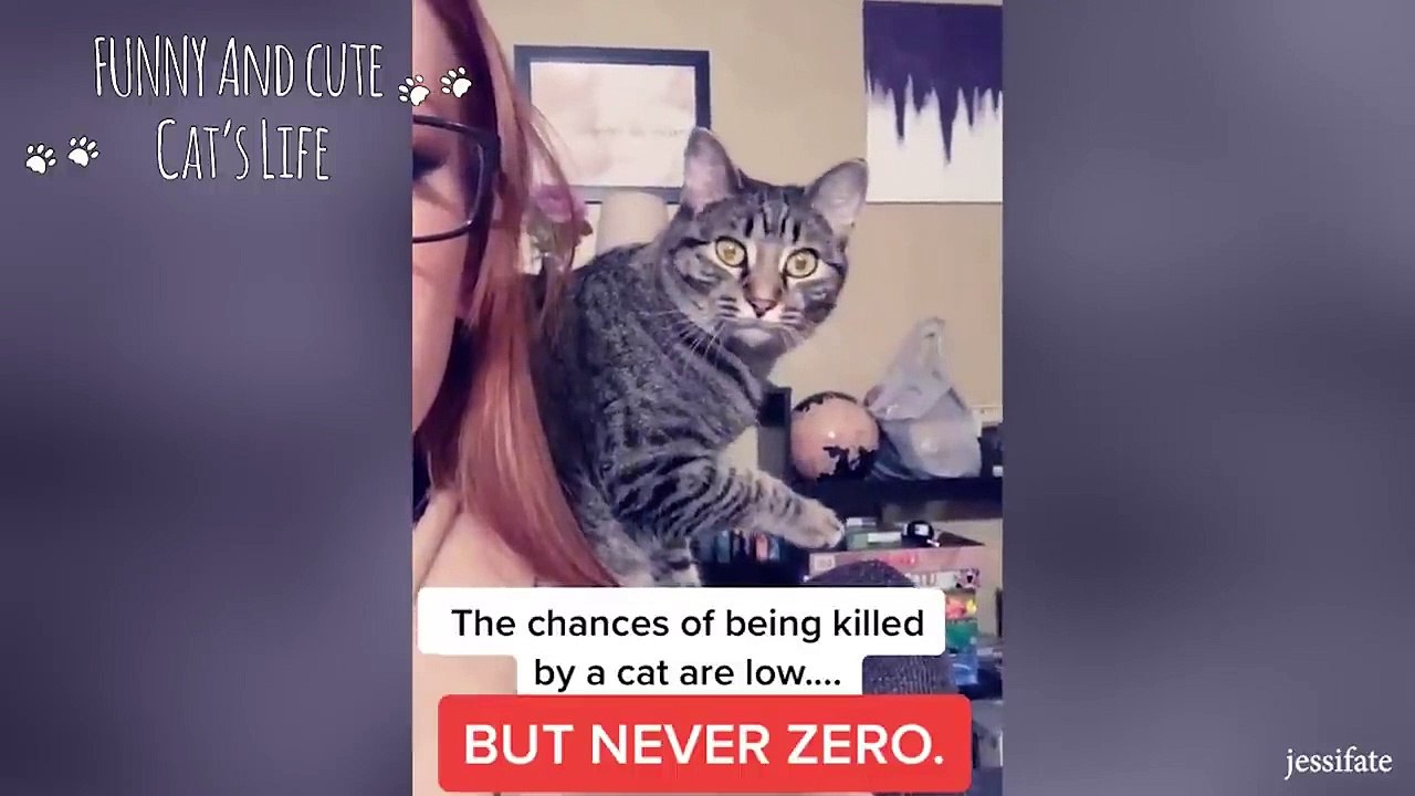 Make Licking Sounds When Your Cat Is Licking Themselves  - Funniest Cat Reaction