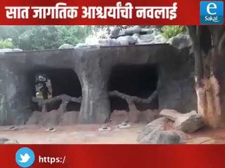 Dhamal Suttichi | World's Seven Wonders in Pune
