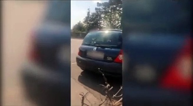 (Attention images violentes) - Un automobiliste fonce et renverse sur une famille qui l'avait surpris en train de photographier leur enfants en cachette