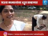 Dhamaal Suttichi | Central Bee Research and Training Center | Pune | Bee