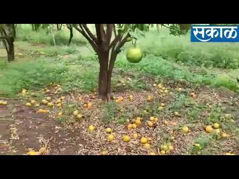 पावसानं लावली वाट!