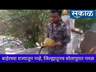 पर राज्यातून येणारी वाहतुक तर बंद आहे.. मग सोलापुरात नारळ येतोय कोठुन?