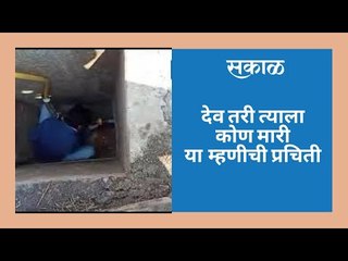 देव तरी त्याला कोण मारी या म्हणीची प्रचिती