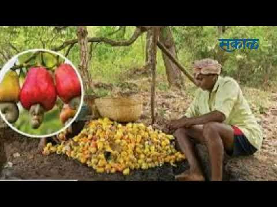 कोल्हापूर सकाळ न्युज बुलेटिन.I| आजच्या ठळक बातम्या | मराठी ताज्या बातम्या | Sakal Media |