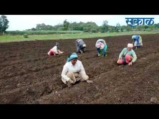 Download Video: Latest Marathi News I कोल्हापूर जिल्ह्यातील ठळक घडामोडी  | मराठी ताज्या बातम्या | Sakal Media |