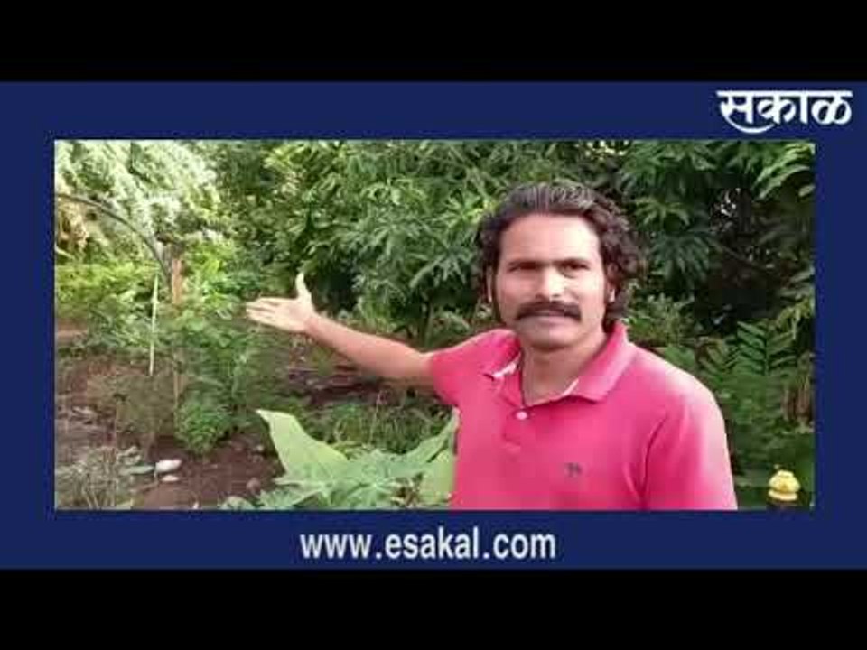क्षण बहराचे :हिरवाईचा लळा, शहरात फुलवला मळा | मराठी ताज्या बातम्या | Sakal Media |