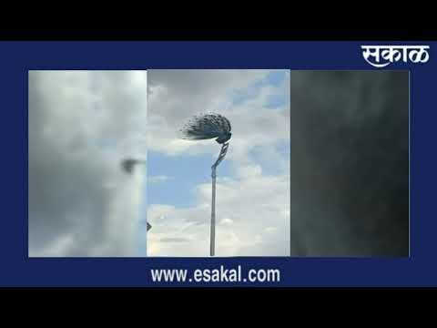 मेघराजाला मोराची साद... | आजच्या ठळक बातम्या | मराठी ताज्या बातम्या | Sakal Media |