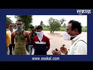 महापुरात घुबड, घार, गरुड, साप, नागालाही जीवदान देतेय कोल्हापुरातील वन विभागाची रेस्क्‍यु टिम !