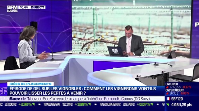 Idée de placements: Episode de gel sur les vignobles, quel impact pour les vignerons ? - 29/04