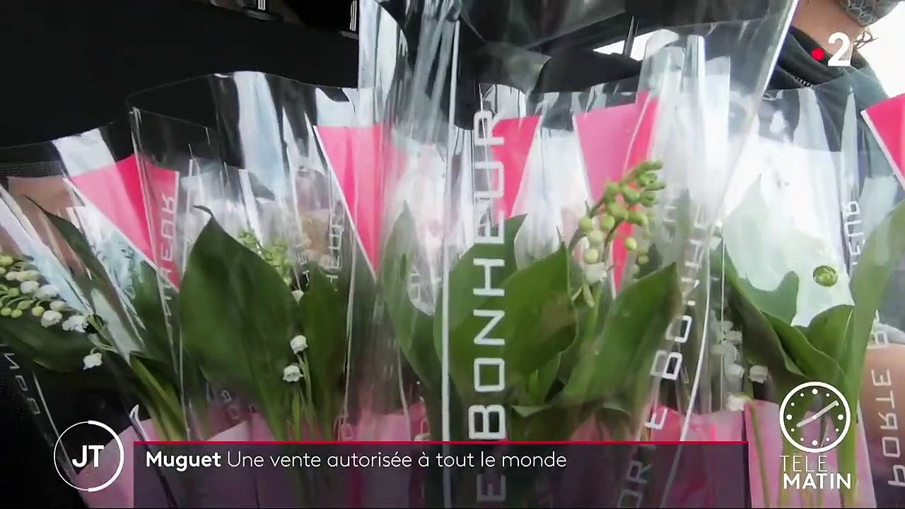 Muguet : les particuliers autorisés à vendre le 1er mai, mais sous conditions
