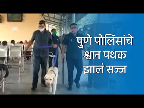 पुणे पोलिसांचे श्वान पथक झालं सज्ज | आजच्या ठळक बातम्या | मराठी ताज्या बातम्या | Sakal Media |
