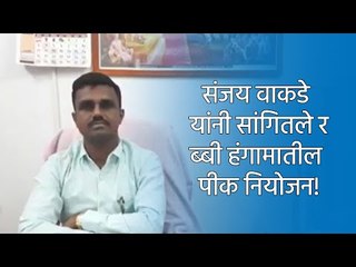 संजय वाकडे यांनी सांगितले रब्बी हंगामातील पीक नियोजन! | Live Marathi News | मराठी ताज्या बातम्या |