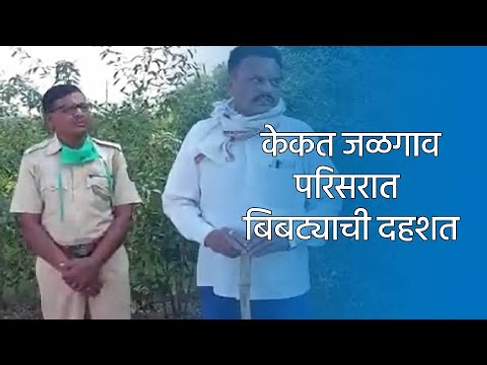 केकत जळगाव परिसरात या बिबट्याची दहशत | Aurangabad | Leopard | Farming | Sakal | Sakal Media