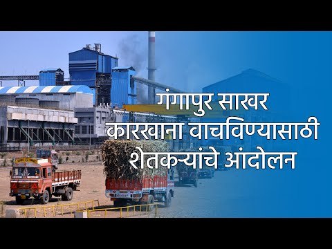 गंगापुर साखर कारखाना वाचविण्यासाठी शेतकऱ्यांचे आंदोलन | Aurangabad | Maharashtra | Sakal Media |
