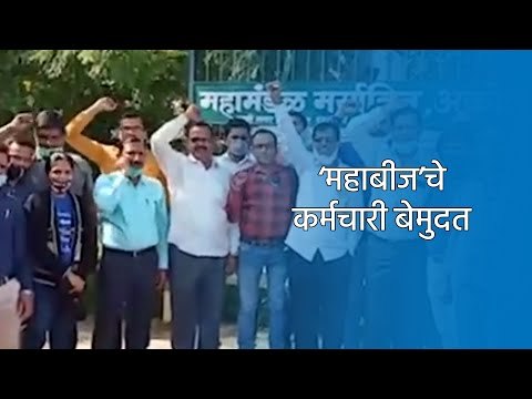 ‘महाबीज’चे कर्मचारी बेमुदत | Akola | Maharashtra | Sakal Media |