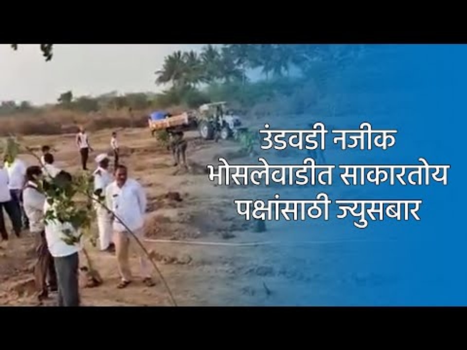 उंडवडी नजीक भोसलेवाडीत साकारतोय पक्षांसाठी ज्युसबार | Pune | Maharashtra | Sakal Media |