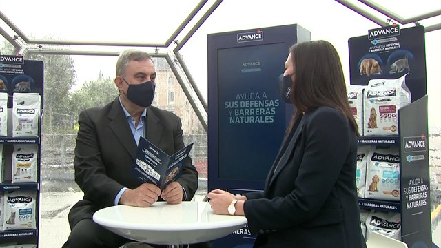 El Sistema Inmune es fundamental también en perros y gatos