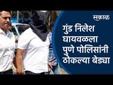 गुंड निलेश घायवळला पुणे पोलिसांनी ठोकल्या बेड्या | Nilesh Ghaiwal|Pune Police | Crime| Sakal Media