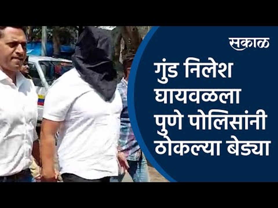 गुंड निलेश घायवळला पुणे पोलिसांनी ठोकल्या बेड्या | Nilesh Ghaiwal|Pune Police | Crime| Sakal Media
